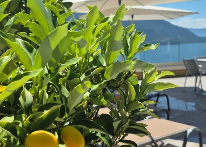 Apartment Sollevante Mit Pool Und Fantastischem Seesicht