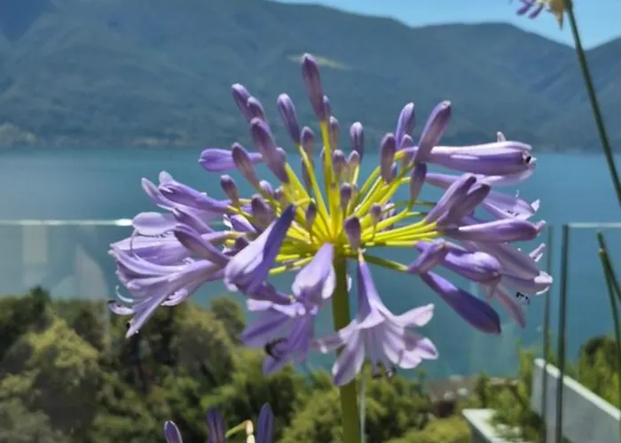 Apartment Sollevante Mit Pool Und Fantastischem Seesicht *